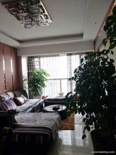 住家不二选择,鼎尚铭庭 23.8万 1室1厅1卫